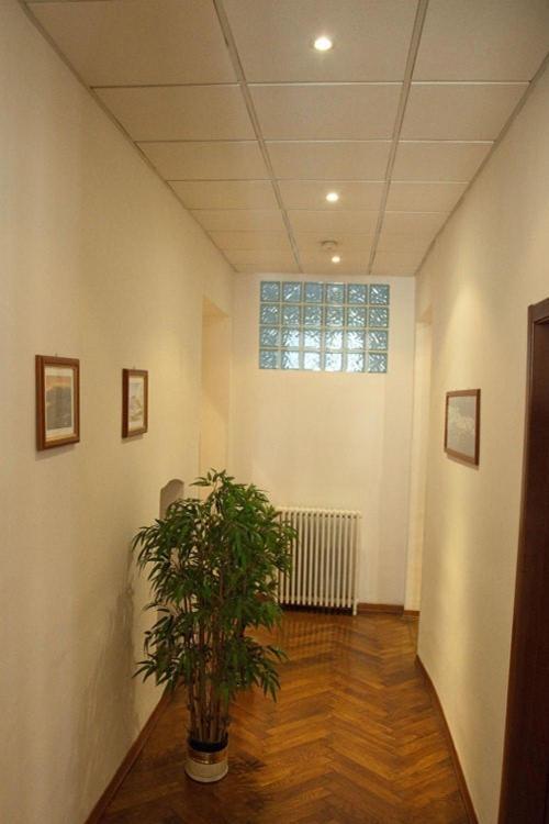 Pensione Rittmeyer Trieste Esterno foto